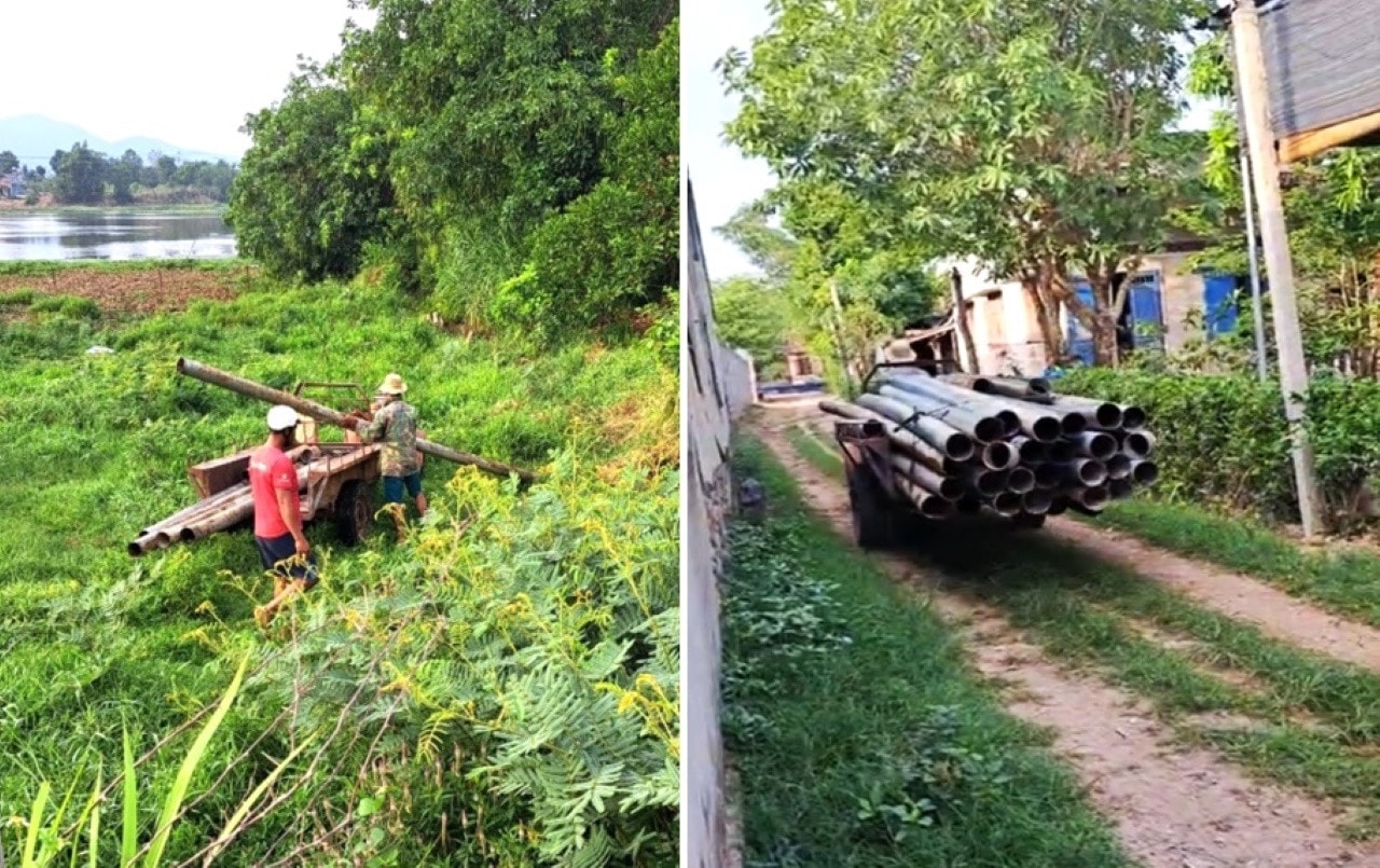 Trang trại xả thải ra hồ Lắk đã tháo dỡ đường ồng nhựa đem cất giấu