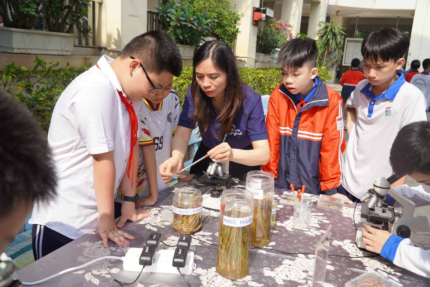 Thúc đẩy sự phát triển toàn diện của học sinh -1