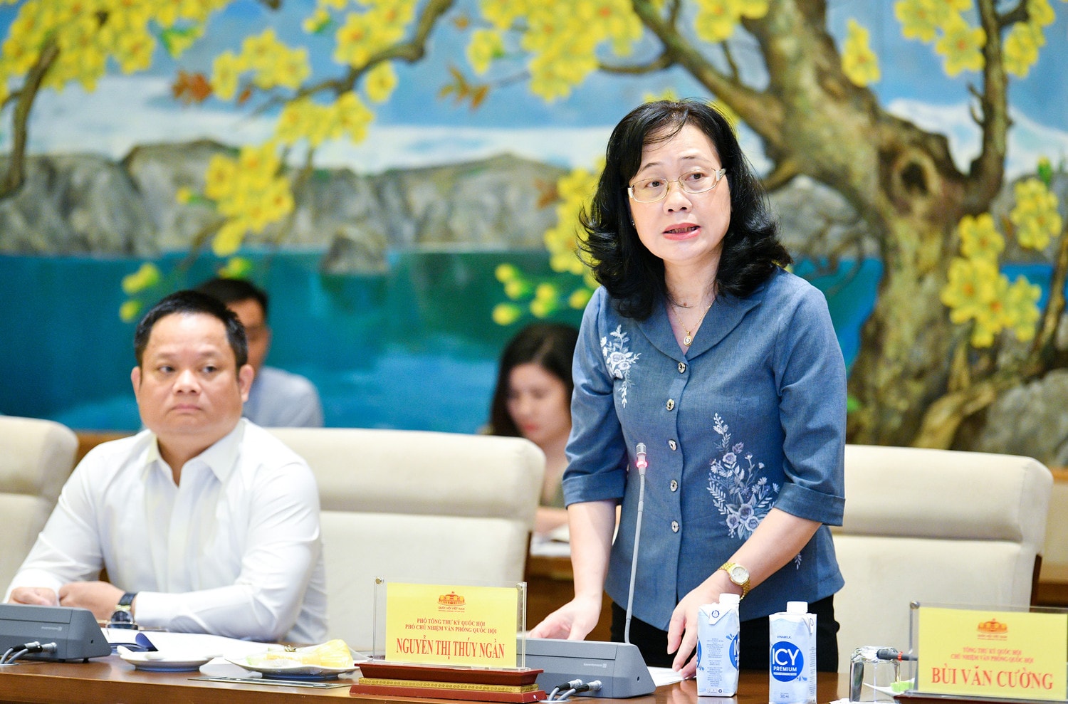 Phó Chủ tịch Quốc hội, Thượng tướng Trần Quang Phương chủ trì cuộc họp rà soát công tác chuẩn bị Kỳ họp thứ 7, Quốc hội Khóa XV -0