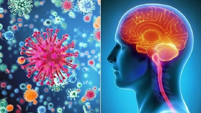 Phòng bệnh viêm não mô cầu cho trẻ bằng vaccine -0