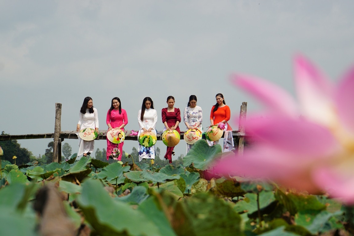Ngắm những cánh đồng sen rực hồng tại Đồng Tháp ảnh 16 Tháng năm về, ngắm cánh đồng sen rực hồng tại Đồng Tháp -0