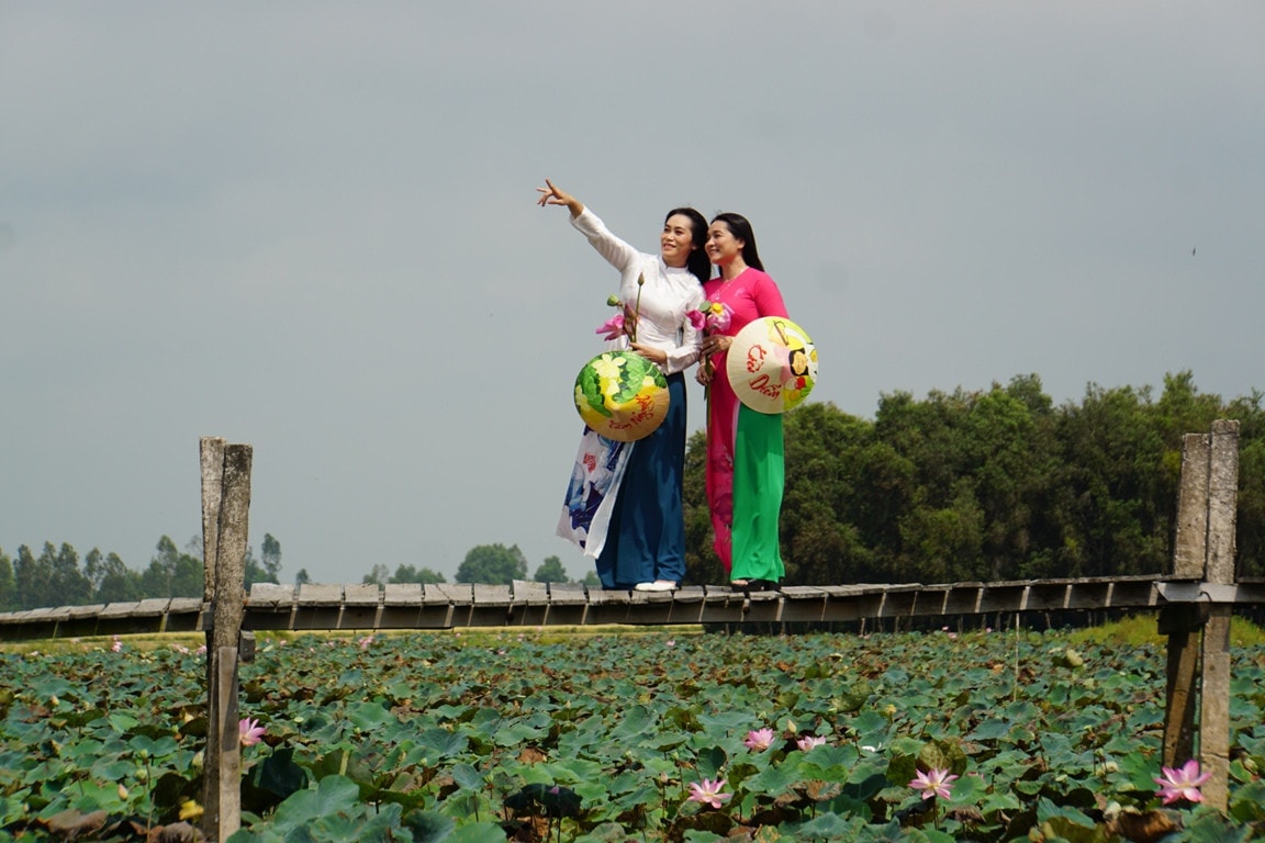 Ngắm những cánh đồng sen rực hồng tại Đồng Tháp ảnh 14 Tháng năm về, ngắm cánh đồng sen rực hồng tại Đồng Tháp -0