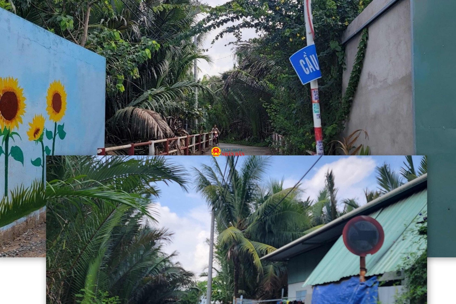TP. Hồ Chí Minh: Biển báo giao thông tại nhiều tuyến đường bị tẩy xóa, mất tác dụng -1