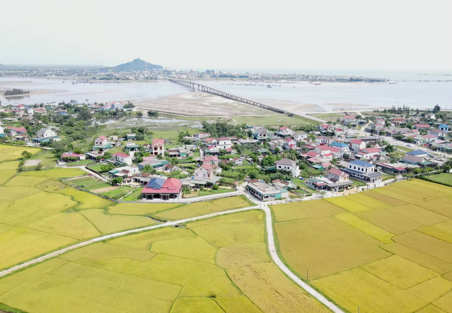 Ông Nguyễn Trí Hà, Chi cục trưởng Chi cục Trồng trọt và Bảo vệ thực vật Hà Tĩnh vui mừng cho biết, vụ xuân năm 2024 toàn tỉnh có hơn 59.107 héc ta, chủ yếu là các giống Thái Xuyên 111, Nhị Ưu 838, Bắc Thịnh, Hương Bình, Lai thơm 6, Nếp 98… Mùa vàng trên cánh đồng Hà Tĩnh -0