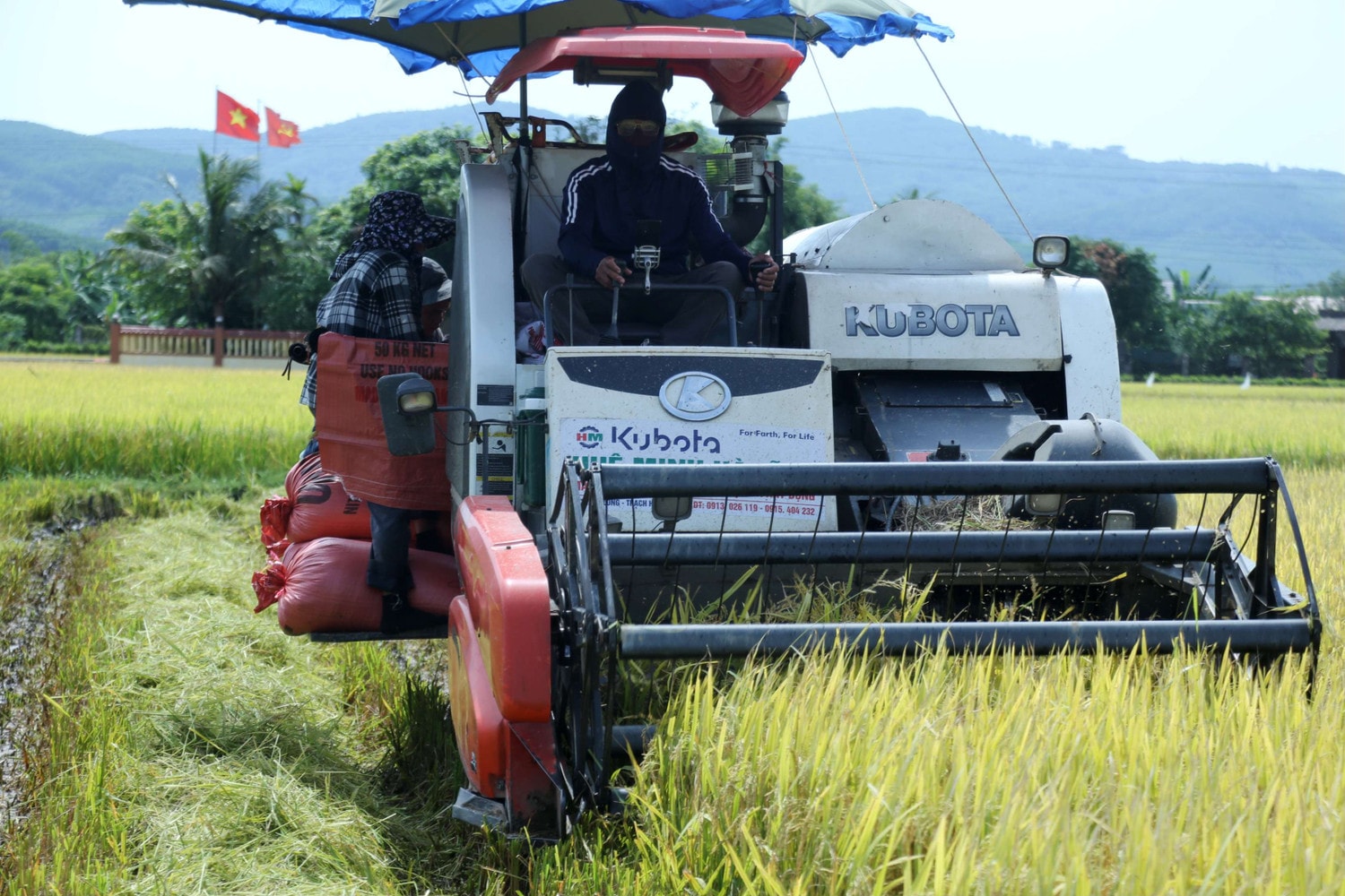 Hiện nay, Hà Tĩnh đã đưa máy móc, cơ giới hóa vào sản xuất khiến năng suất lao động cao hơn, giảm chi phí sản xuất. Mùa vàng trên cánh đồng Hà Tĩnh -0