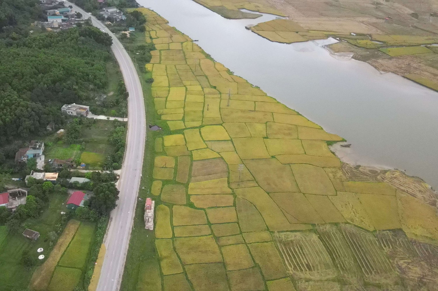 Bên cạnh đó, người nông dân có sự đầu tư về thâm canh, sử dụng cơ giới hóa, áp dụng khoa học kỹ thuật góp phần tăng năng suất.“Giá lúa tươi đến thời điểm này là 66.000 đồng/yến. Năm nay lúa vụ xuân là được mùa được giá, chi phí đầu tư cũng thấp nên người nông dân rất phấn khởi”, ông Trí Hà cho biết. Mùa vàng trên cánh đồng Hà Tĩnh -1