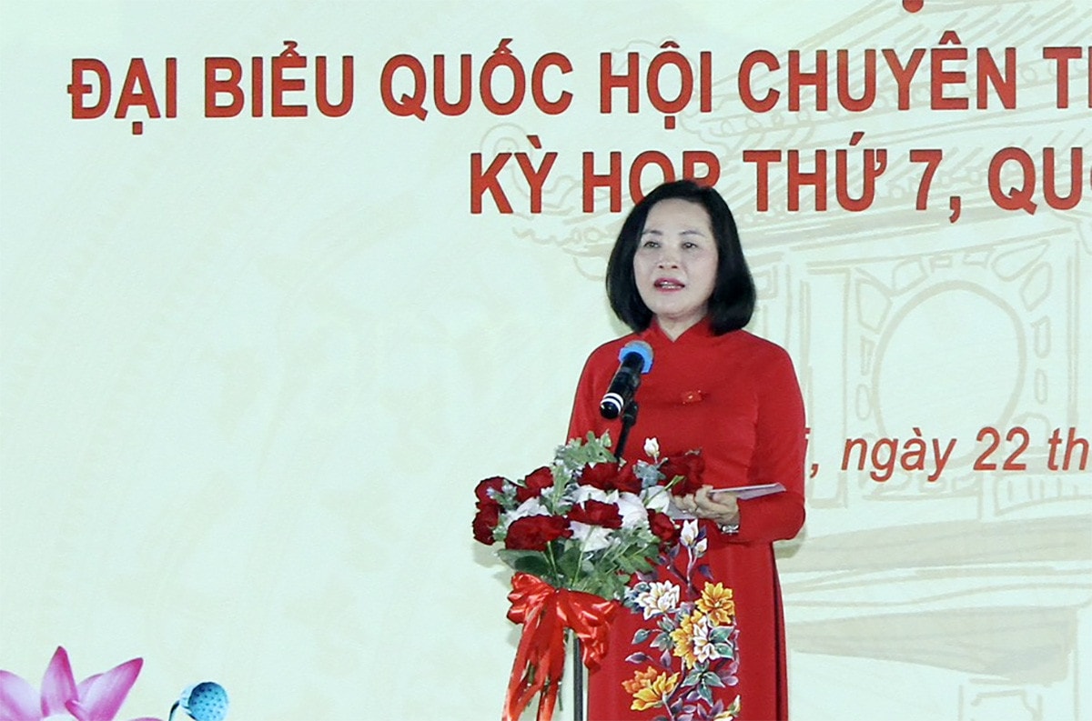 Gặp mặt đại biểu Quốc hội chuyên trách các tỉnh, thành phố trực thuộc Trung ương -0