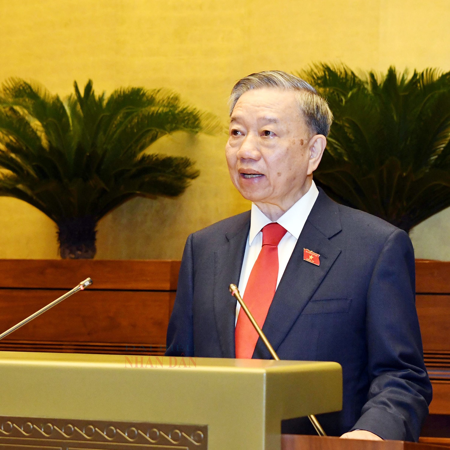 Chủ tịch nước Tô Lâm: Thực hiện nghiêm túc, đầy đủ nhiệm vụ, quyền hạn của Chủ tịch nước đã được Hiến định -0