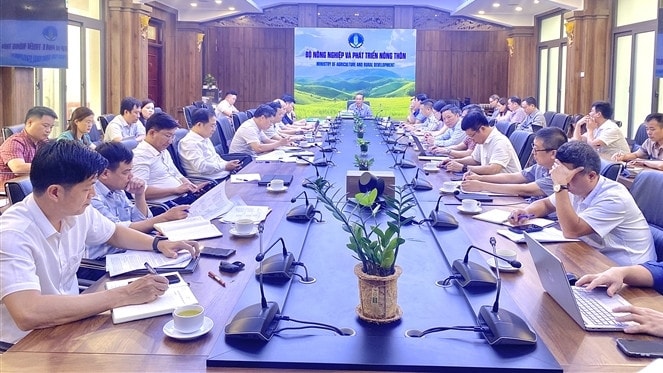 Rốt ráo gỡ thẻ vàng IUU
