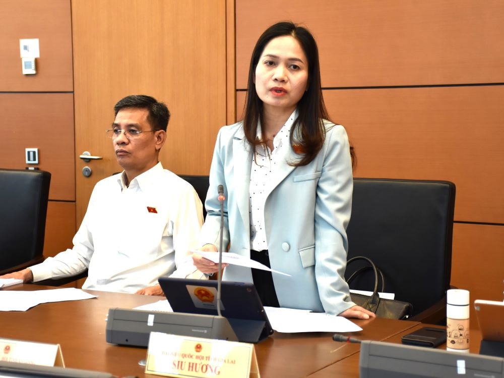 Cần sớm hoàn thiện khung pháp lý về quản lý tài sản công