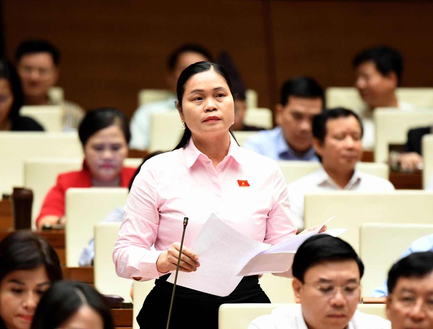 Nâng cao hơn nữa tinh thần trách nhiệm trong giải quyết, trả lời kiến nghị của cử tri -0