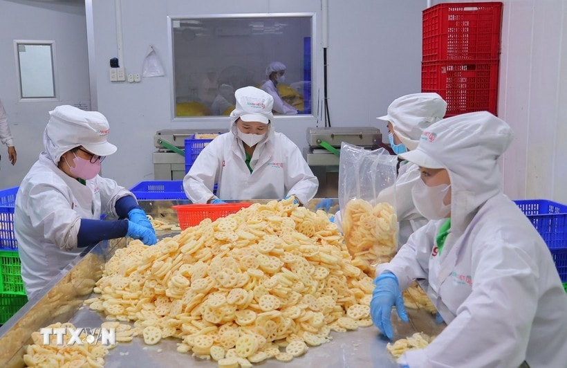 At Dai Viet Lotus Food JSC's factory (Photo: VNA) Dong Thap’s lotus root makes debut journey to Japan -0