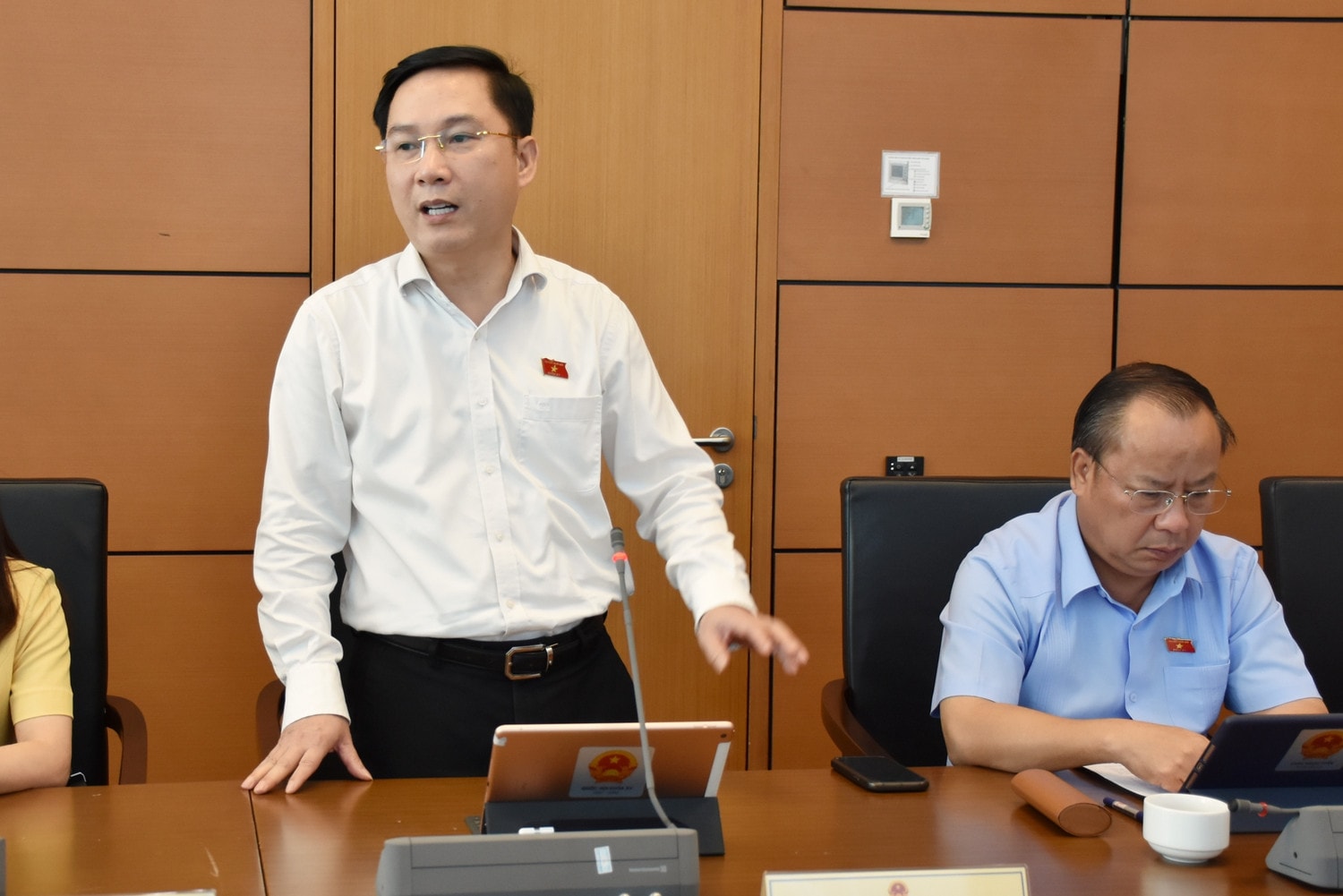 ĐBQH Lê Hoàng Anh (Gia Lai) phát biểu ý kiến Cần tiếp tục nghiên cứu, rà soát các quy định bảo đảm tính thống nhất giữa các Luật -0
