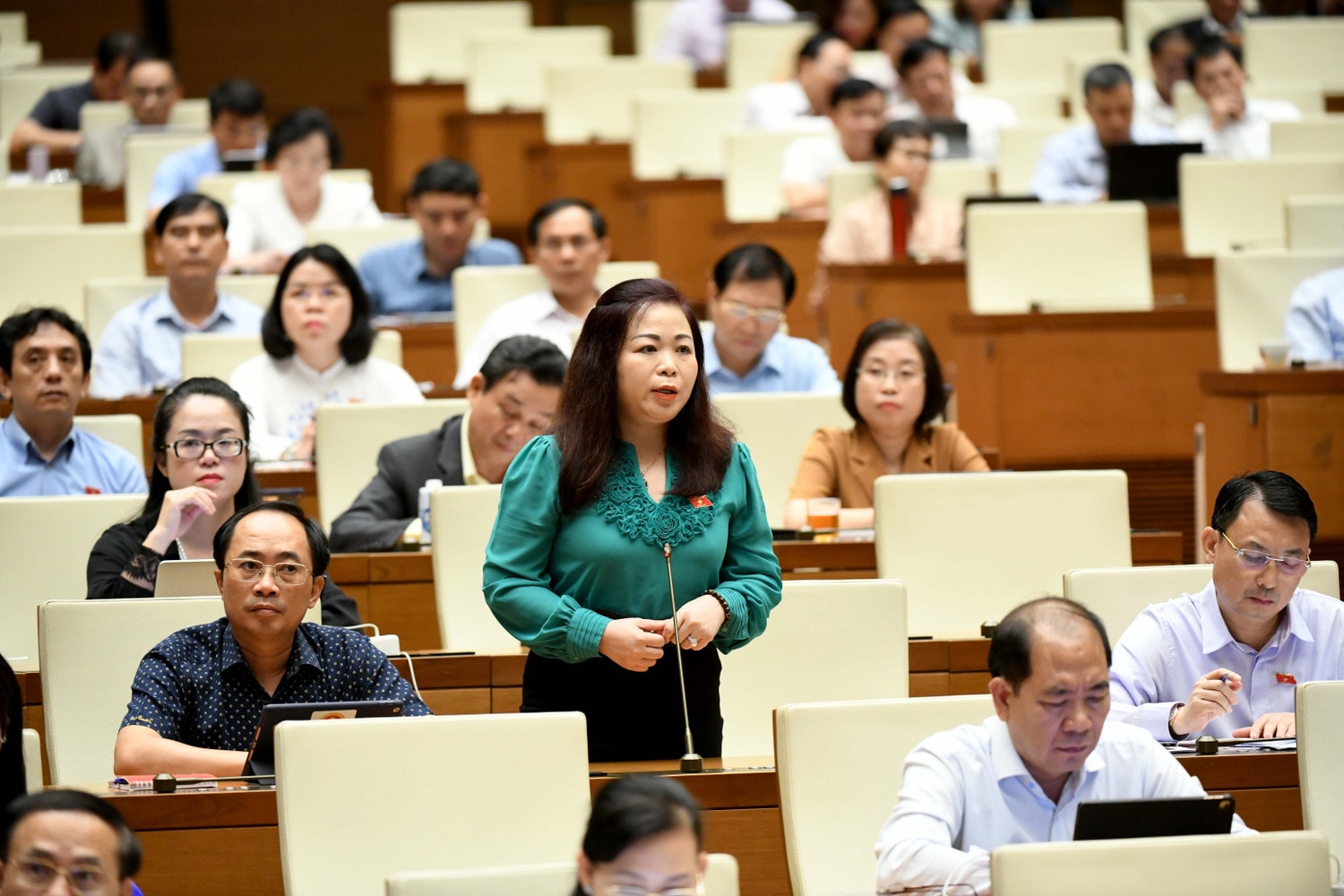 ĐBQH Vũ Thị Lưu Mai (Hà Nội) phát biểu. Ảnh: Lâm Hiển Nhiều bài học quý về phản ứng chính sách và tính khả thi khi ban hành chính sách -0