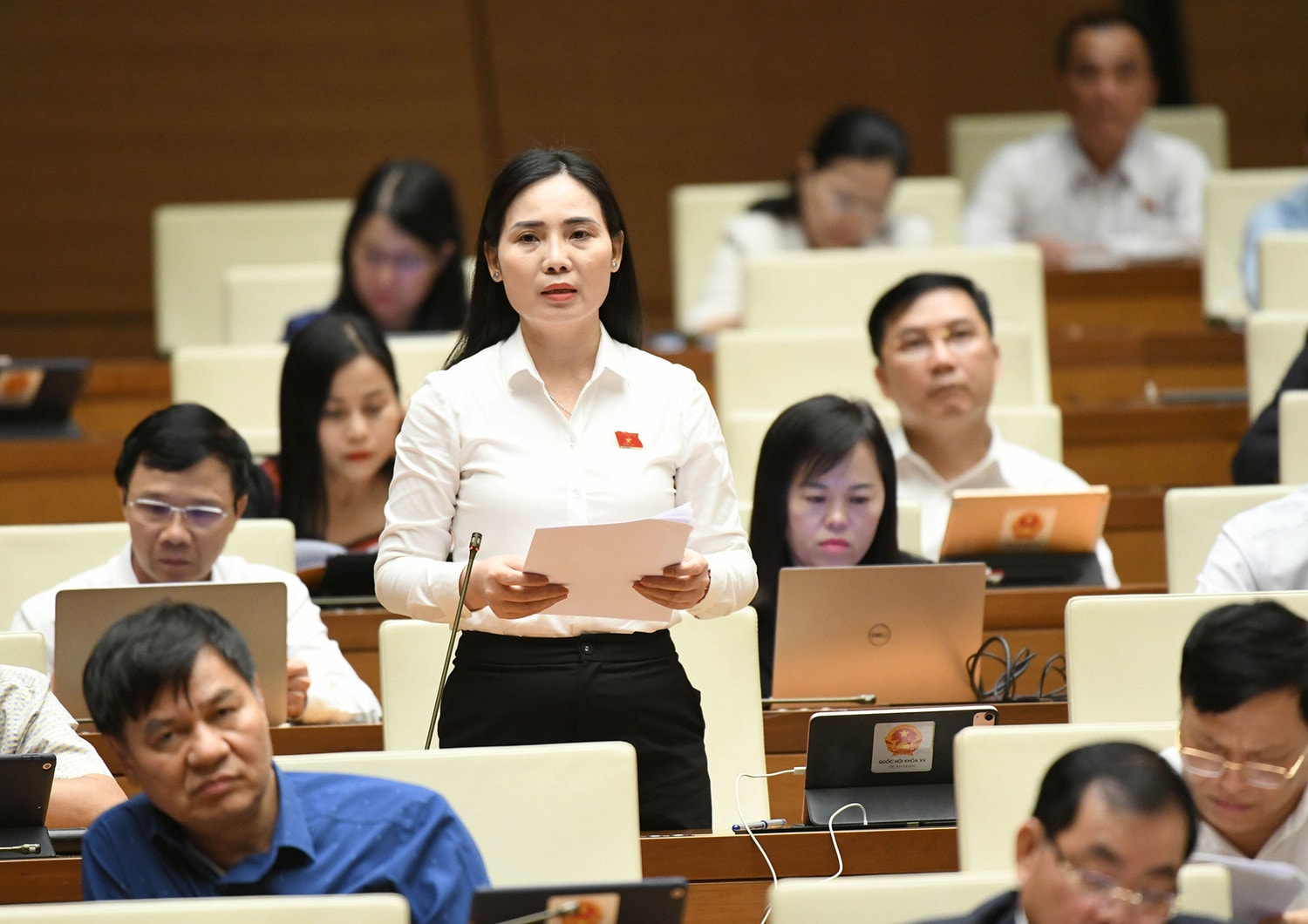Tổng kết, luật hóa những cơ chế đặc thù hiệu quả -0