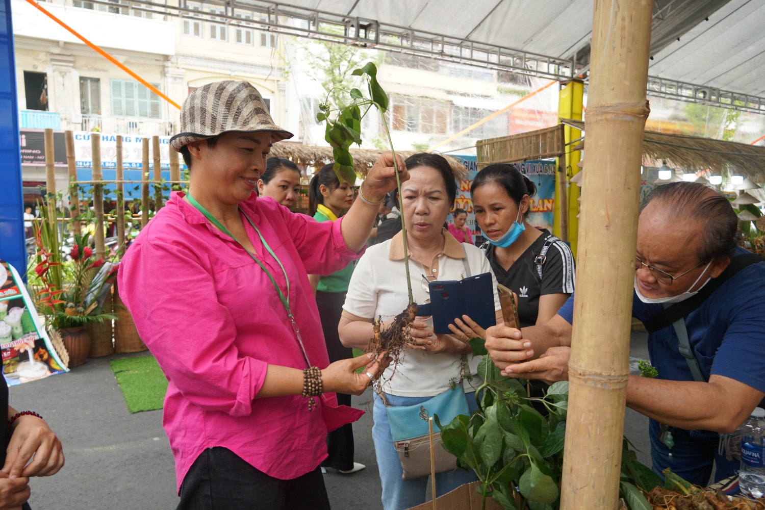 Bà Phan Thị Hậu giới thiệu cho du khách biết về cây sâm Ngọc Linh Bà Phan Thị Hậu giới thiệu cho du khách biết về cây sâm Ngọc Linh