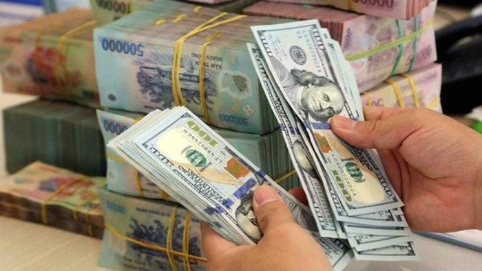 Ứng xử với “sóng lớn tỷ giá”,Ứng xử với “sóng lớn tỷ giá”