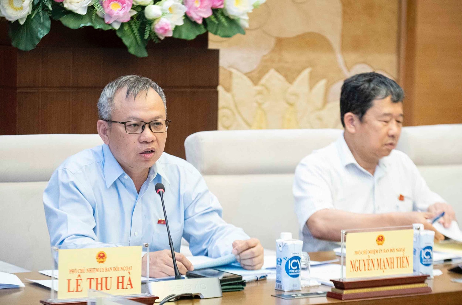 Phó Chủ nhiệm Ủy ban Đối ngoại Nguyễn Mạnh Tiến phát biểu