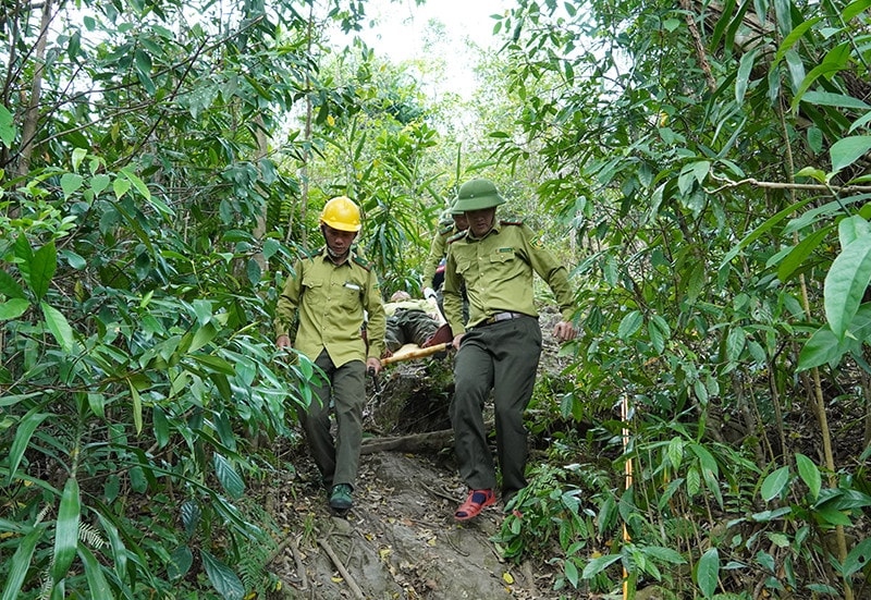 Quảng Bình chủ động phòng cháy rừng ở Vườn Quốc gia Phong Nha - Kẻ Bàng -0