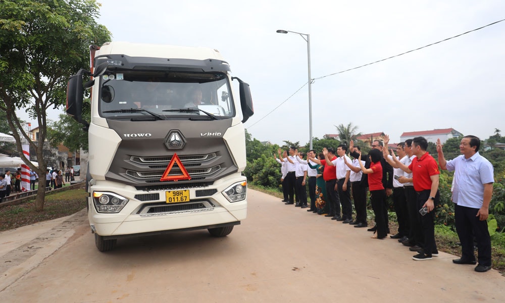 Bắc Giang: Đẩy mạnh xúc tiến tiêu thụ vải thiều sớm Tân Yên -0