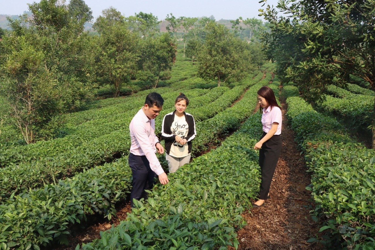 Đổi thay Sơn La -0