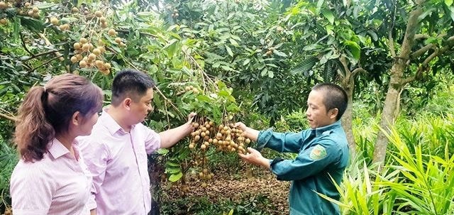Đổi thay Sơn La -0