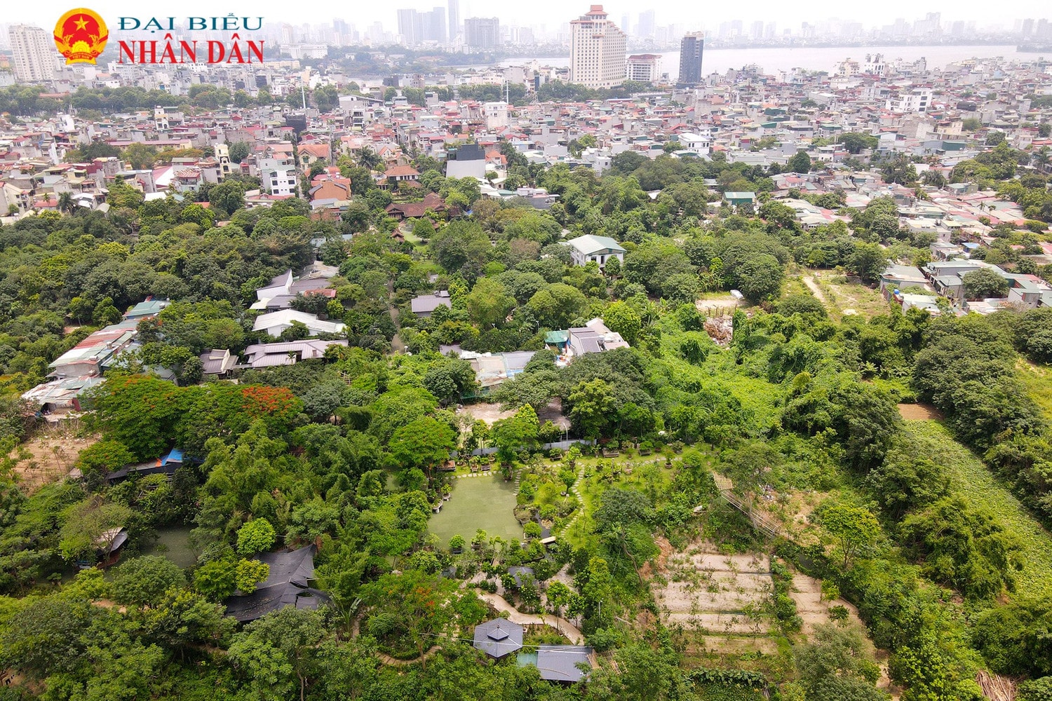 Quận Tây Hồ (Hà Nội): Phường Yên Phụ đứng “top đầu” vi phạm trật tự xây dựng trên đê, hành lang thoát lũ sông Hồng -0