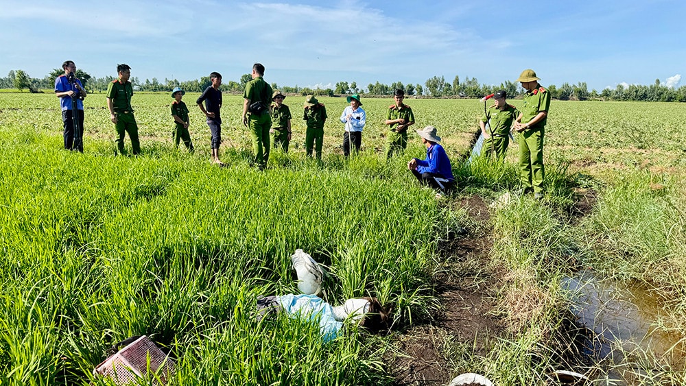 An Giang: Cảnh báo tai nạn chết người từ việc sử dụng điện bẫy chuột