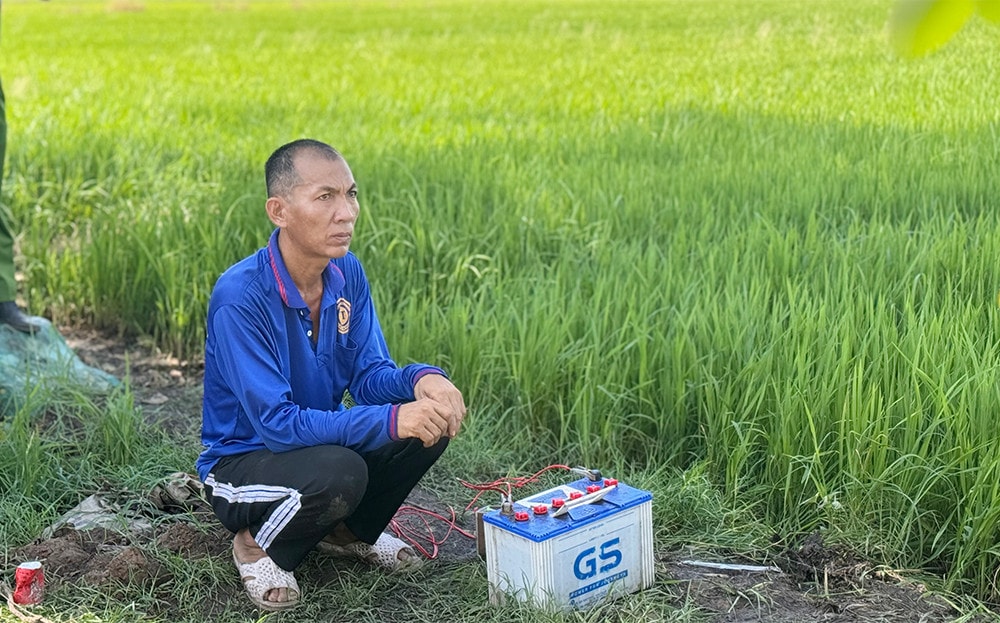 An Giang: Cảnh báo tai nạn chết người từ việc sử dụng điện bẫy chuột