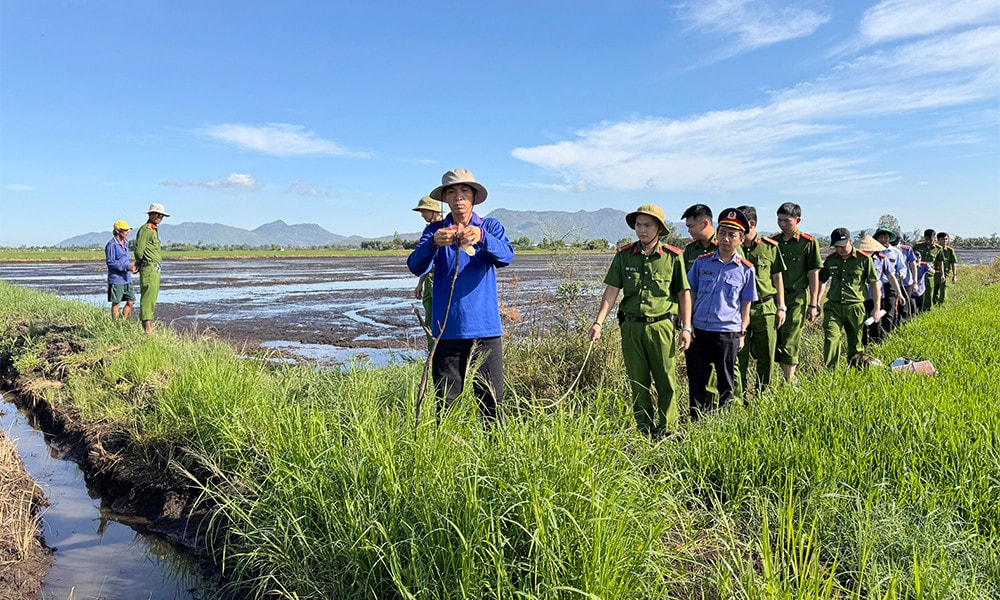 An Giang: Cảnh báo tai nạn chết người từ việc sử dụng điện bẫy chuột