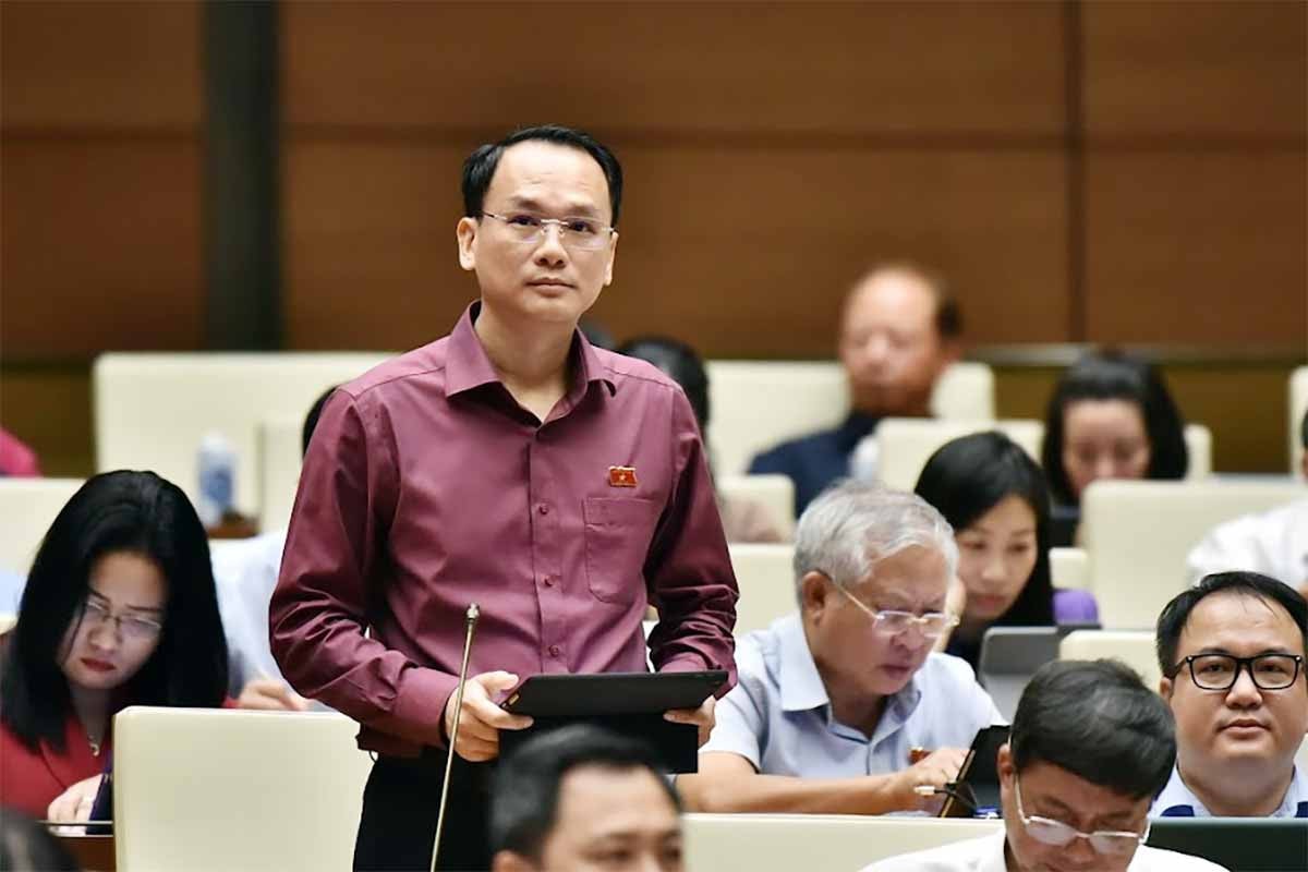 Đại biểu Quốc hội Lưu Bá Mạc (Lạng Sơn): Một đội máy bay hùng mạnh là sức mạnh của quốc gia -0