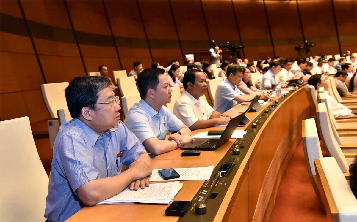 ĐBQH Nguyễn Thị Lan (Hà Nội): Chủ động tham gia thị trường tín chỉ carbon giúp nông nghiệp vượt thách thức