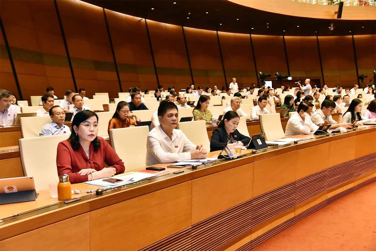 ĐBQH Nguyễn Thị Lan (Hà Nội): Chủ động tham gia thị trường tín chỉ carbon giúp nông nghiệp vượt thách thức -0