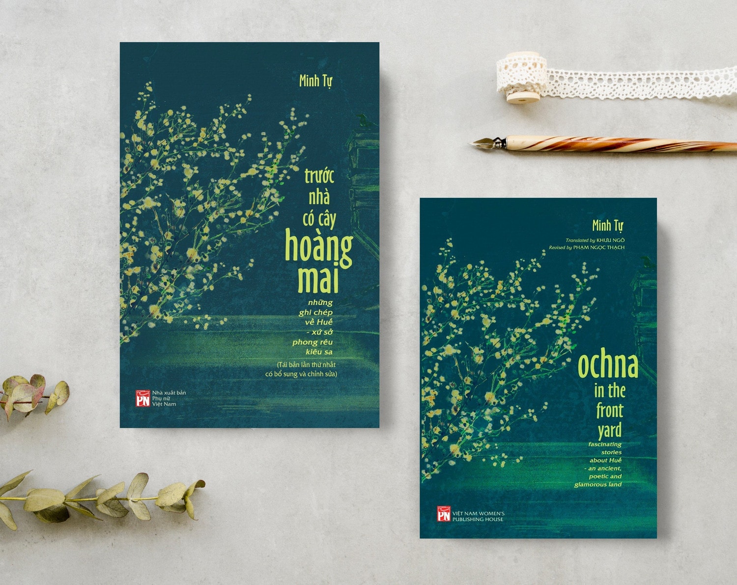 Trước nhà có cây hoàng mai -0