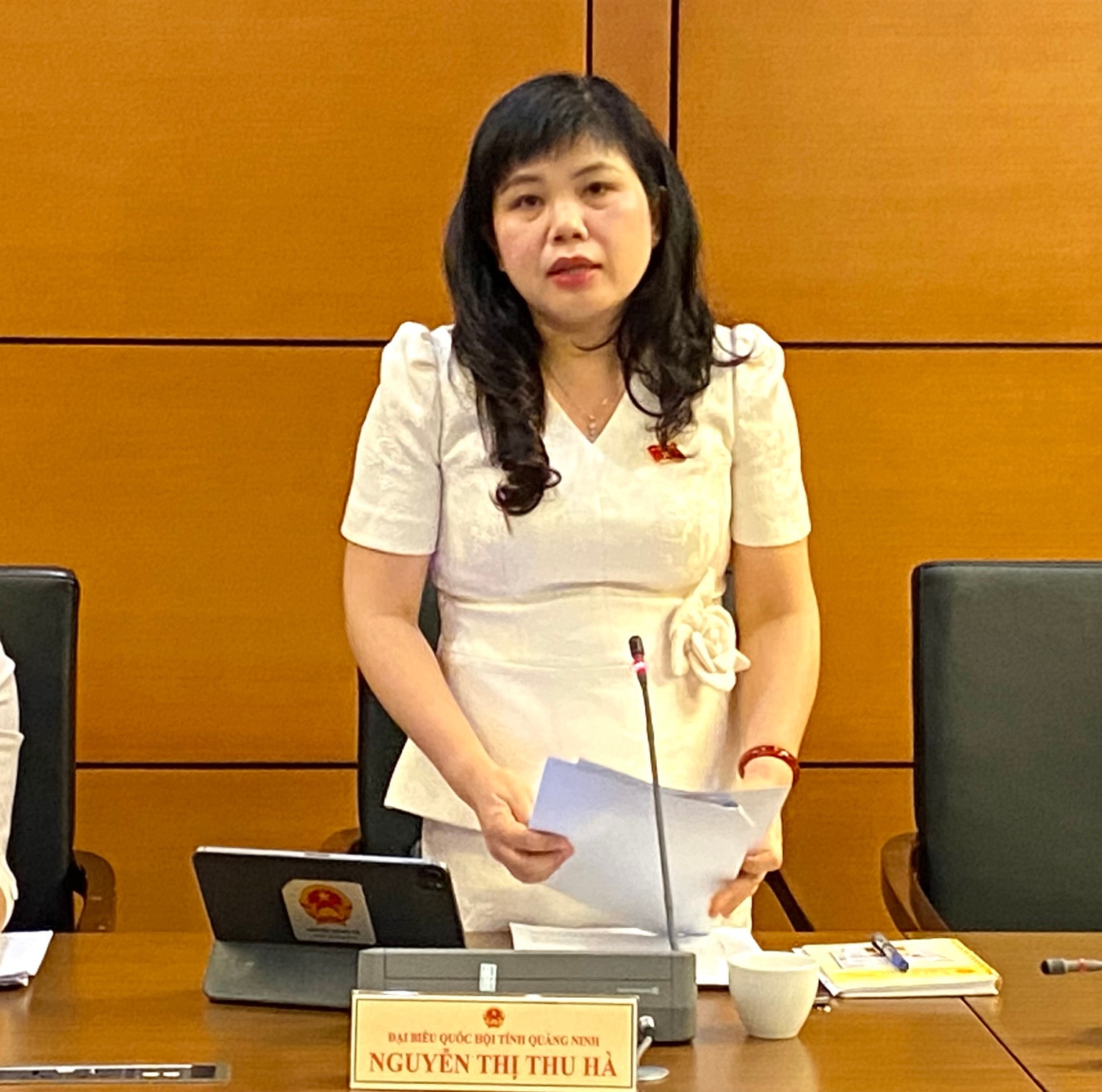 Cần chính sách đặc thù riêng cho khu thương mại tự do