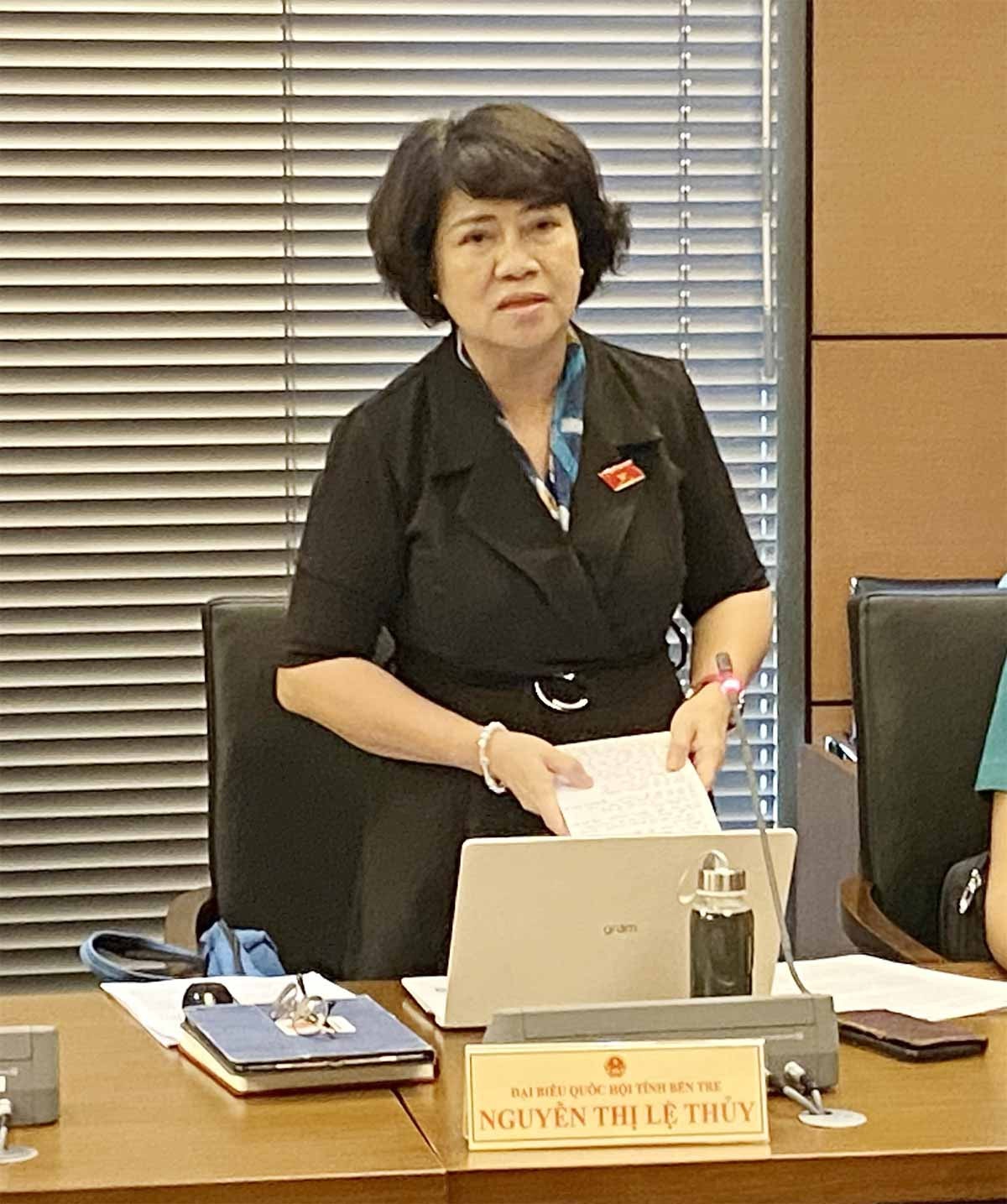 Cần chính sách đặc thù về Khu thương mại tự do Đà Nẵng -0