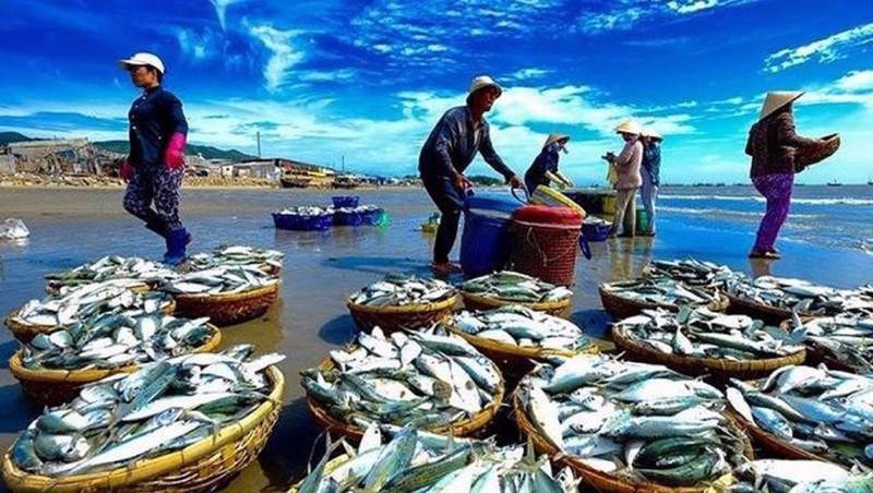 Bảo đảm tính khả thi triển khai Quy hoạch bảo vệ và khai thác nguồn lợi thuỷ sản
