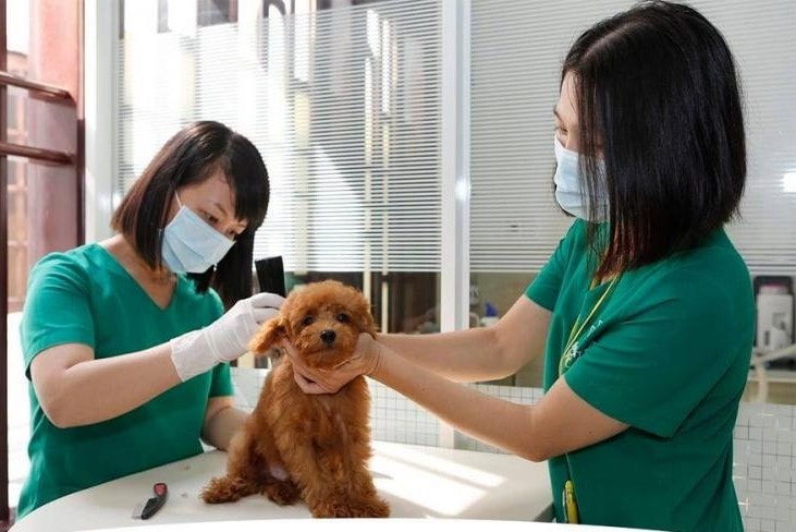 TP. Hồ Chí Minh: Nhiều cơ sở hành nghề dịch vụ thú ý chưa lưu trữ đơn thuốc có chứa chất ma túy -0