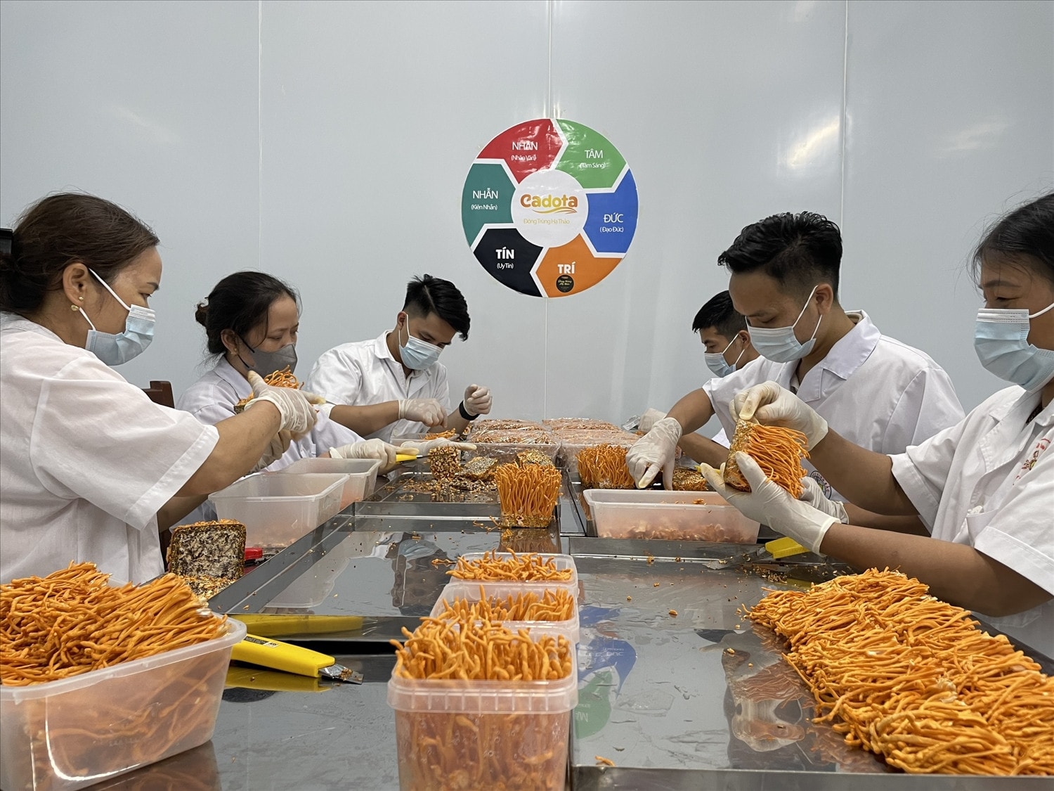 Những sản phẩm nông nghiệp giá trị cao mang lại cuộc sống ẩm no cho lao động nông thôn (ảnh: Vân Khánh)