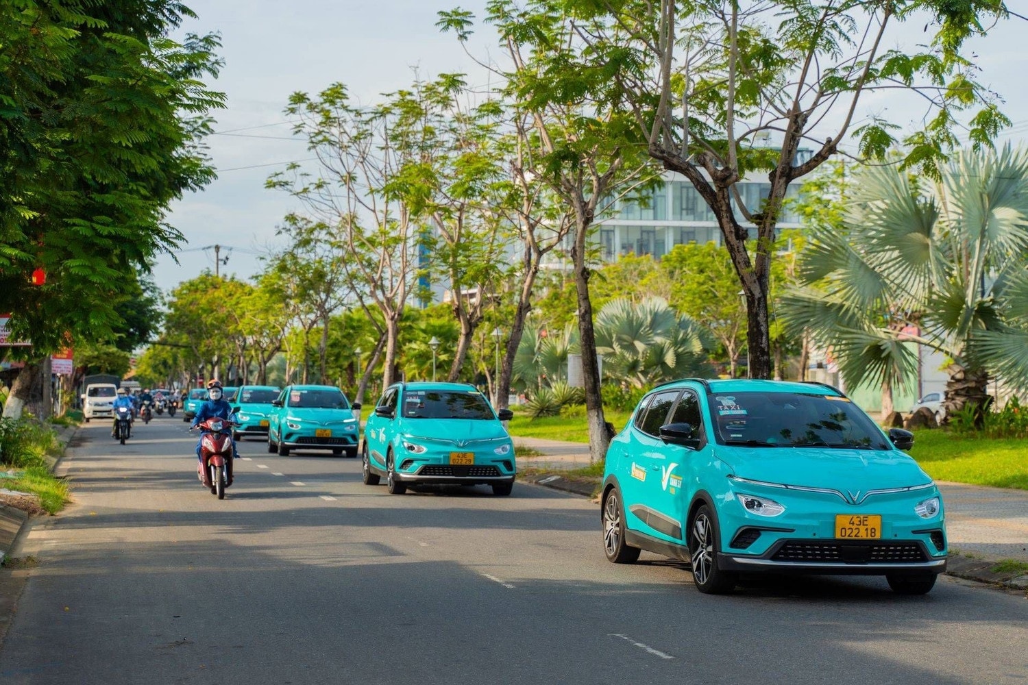 GSM triển khai chương trình “Mùa hè xanh vì tương lai xanh -0
