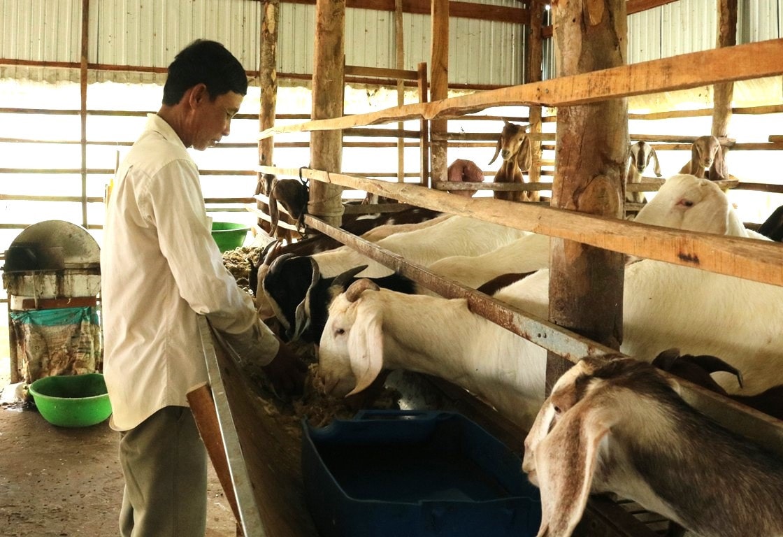 Ngành lao động Đồng Tháp quan tâm đến công tác đào tạo nghề, giải quyết việc làm và khơi gợi ý chí vươn lên thoát nghèo của người dân Đào tạo nghề, tạo việc làm ổn định là giải pháp giảm nghèo bền vững
