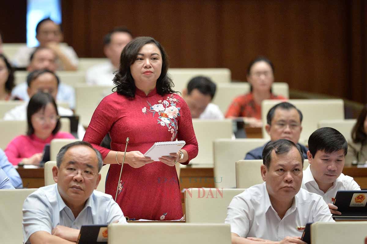 hl-bich-ngoc.jpg -0