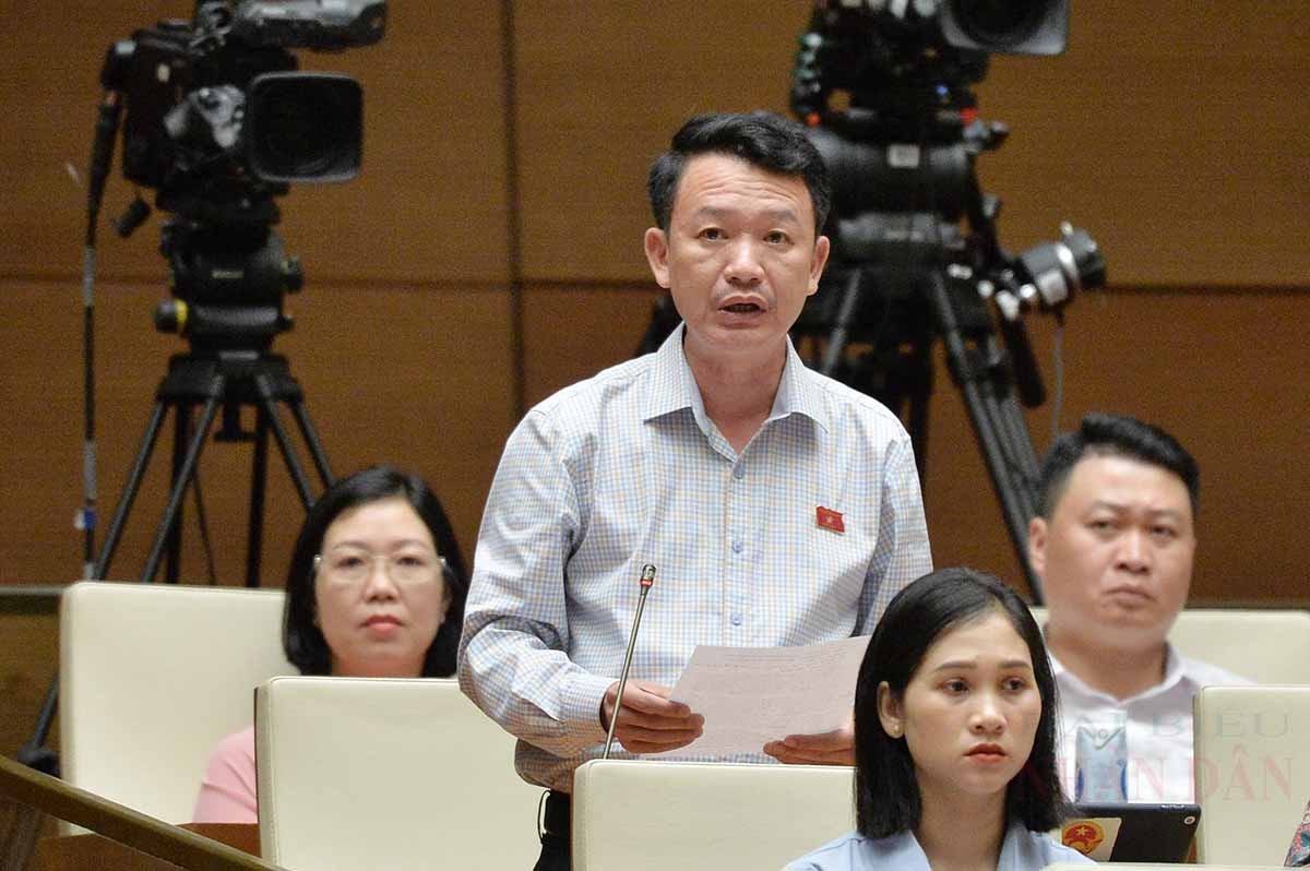hl-quang-minh.jpg -3