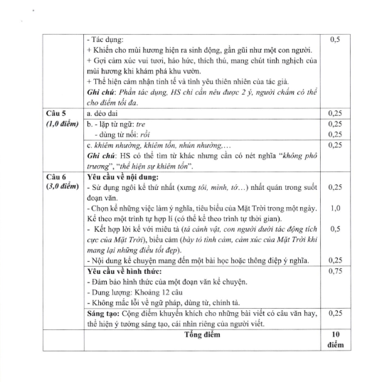 Đáp án chi tiết các bài thi vào lớp 6 Trường THCS&THPT Nguyễn Tất Thành năm 2024 -1