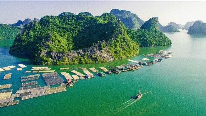 Việt Nam có bờ biển dài trên 3.260km trải dài từ Bắc xuống Nam và cứ 100km2 đất liền có 1km bờ biển. Ảnh: TTXVN