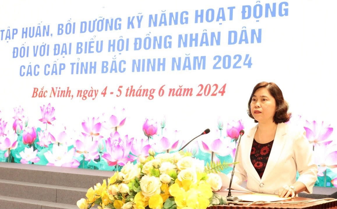 Tập huấn, bồi dưỡng kỹ năng hoạt động đối với đại biểu HĐND -0