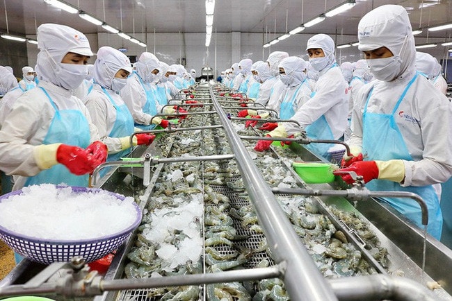 Xuất khẩu thủy sản có tín hiệu lạc quan. Nguồn: ITN