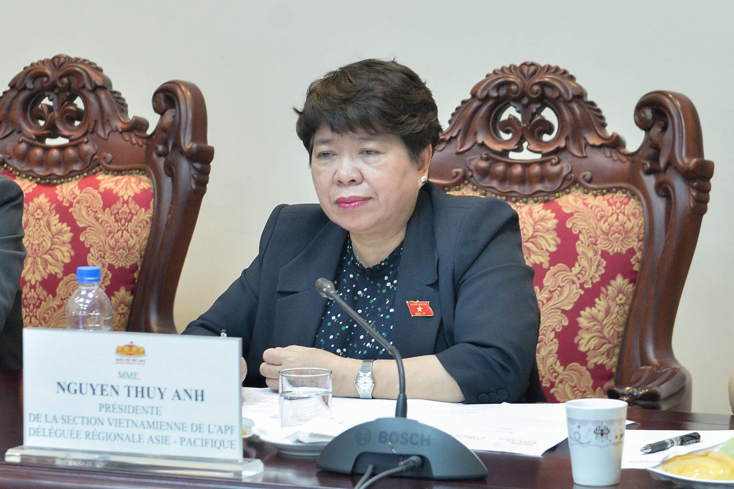 Chủ nhiệm Ủy ban Xã hội Nguyễn Thúy Anh phát biểu 
