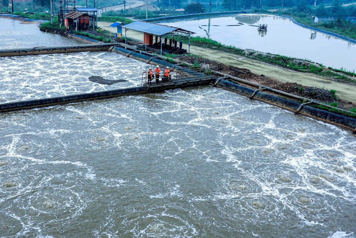 Masan High-Tech Materials và lời hứa kiên định trên hành trình phát triển bền vững -0