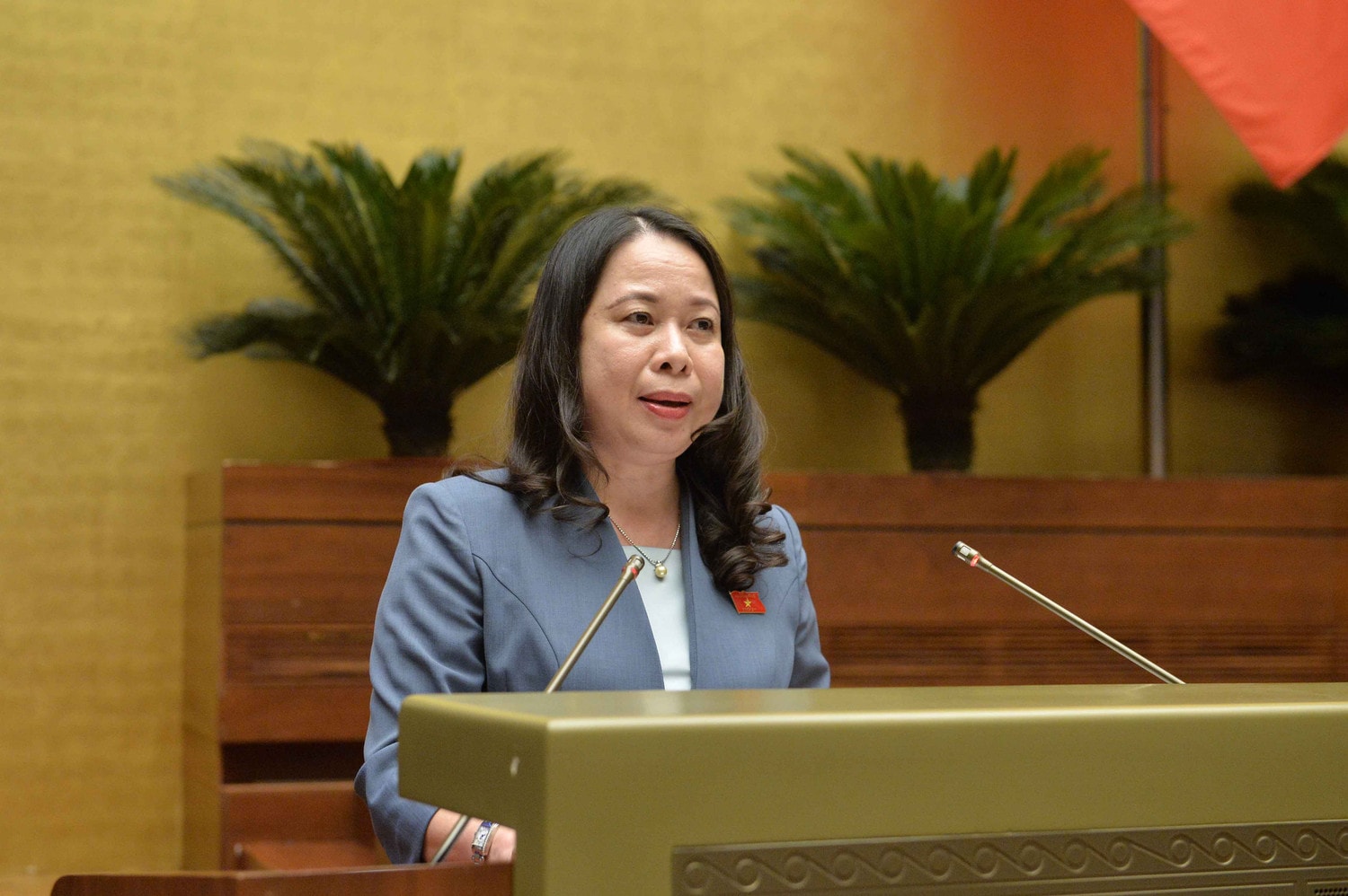 phó chủ tịch nước võ thị ánh xuân trình bày báo cáo.jpg -0